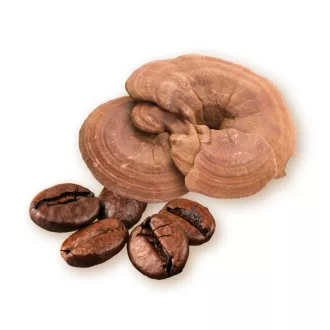 Caleido Arabica- and Reishi Coffee 50 g product image