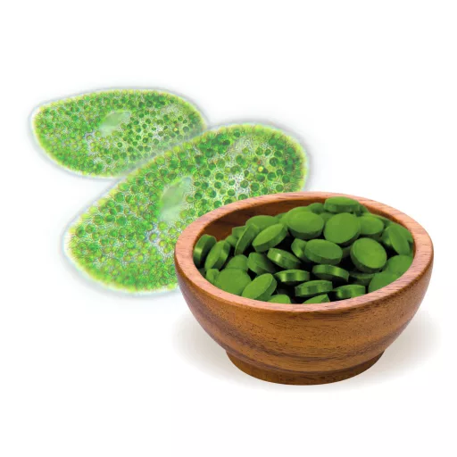 BioMenü Organic Chlorella Alga Tablets 125 g material