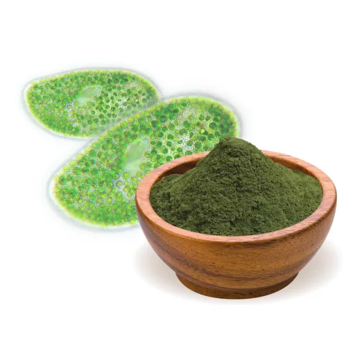 BioMenü Organic Chlorella Alga Powder 250 g material