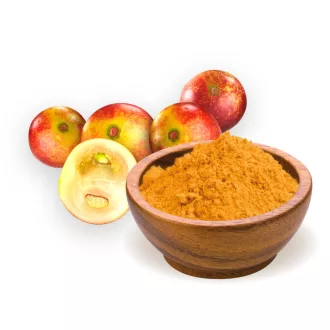 BioMenü Organic Camu Camu Powder 60 g product image