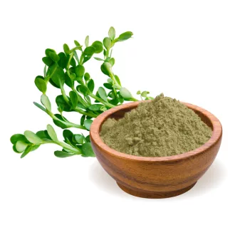 BioMenü Organic Brahmi Powder 125 g product image