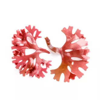 Caleido Astaxanthin gel capsules 60 pcs product image