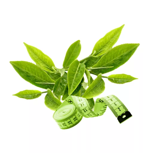 Caleido GreenSlim Green Tea capsules 90 pcs