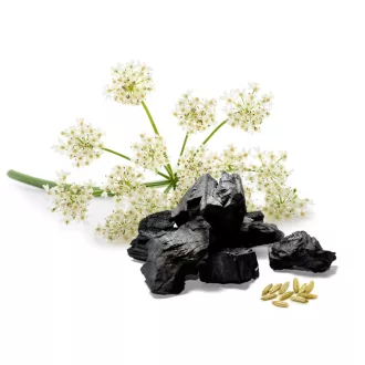 Caleido Anise + Activated Carbon capsules 60 pcs product image