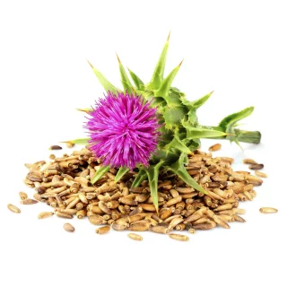 Caleido Milk Thistle capsules 60 pcs product image