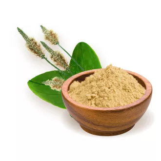 BioMenü Organic Psyllium Husk Powder 125 g product image