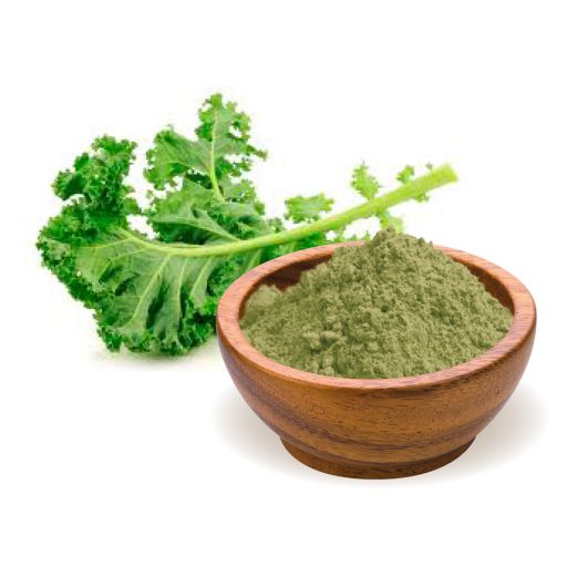 BioMenü Organic Kale Powder 125 g material