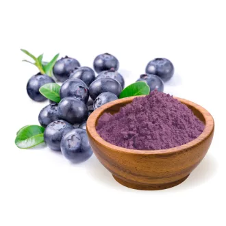 BioMenü Organic Blueberry Powder 60 g product image