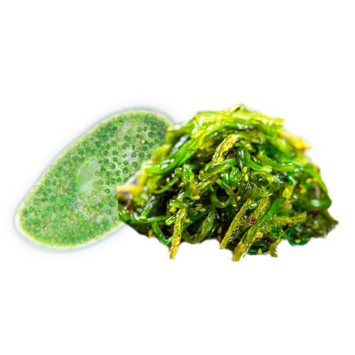 BioMenü Organic Chlorella and Spirulina Alga Capsules 60 pcs material