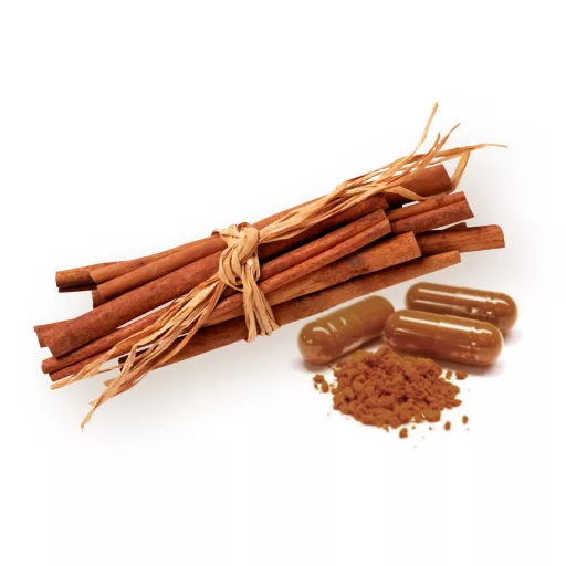 BioMenü Organic Ceylon Cinnamon Capsules 60 pcs material