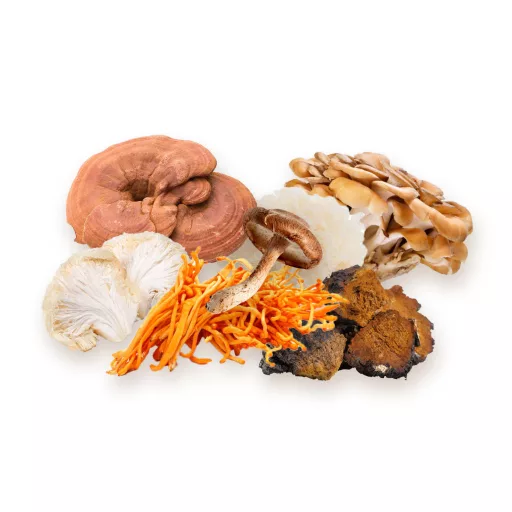 BioMenü Organic 7-Mushroom Blend Capsules 60 pcs material