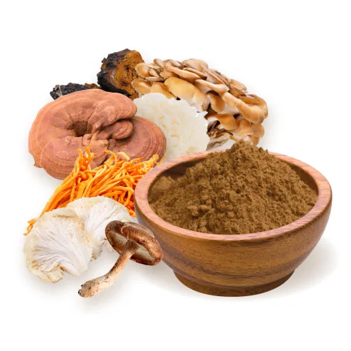 BioMenü Organic 7-Mushroom Blend Powder 100 g material