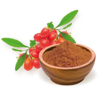 BioMenü Organic Goji Berry Powder 60 g CLOSE TO EXPIRY DATE