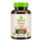 BioMenü Organic Chaga Mushroom Capsules 60 pcs product image