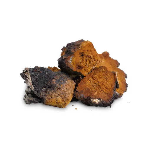 BioMenü Organic Chaga Mushroom Capsules 60 pcs material