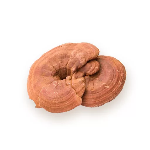BioMenü Organic Ganoderma Mushroom Capsules 60 pcs material