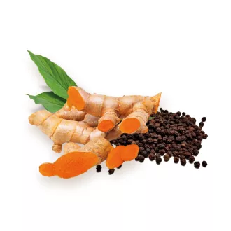 Caleido Curcumin + Piperine Forte Capsules 60 pcs product image