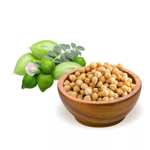 BioMenü Organic Chickpeas 500 g material