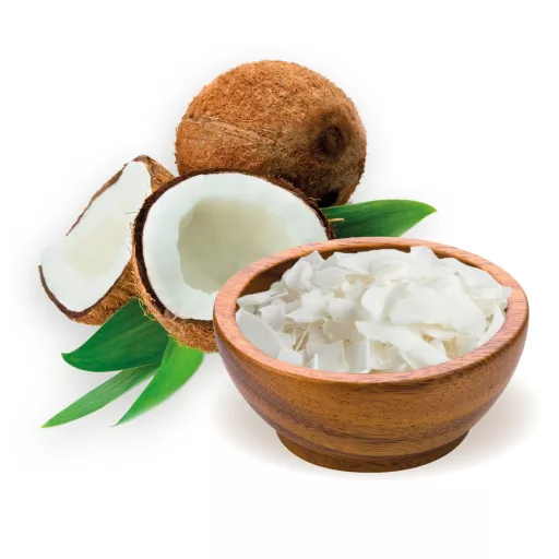 BioMenü Organic Coconut Chips natural 100 g material