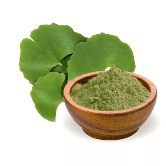 BioMenü Organic Ginkgo Biloba powder 100 g product image