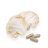 BioMenü Organic Lion's Mane Mushroom Capsules 60 pcs