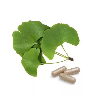 BioMenü Organic Ginkgo Biloba Capsules 60 pcs product image