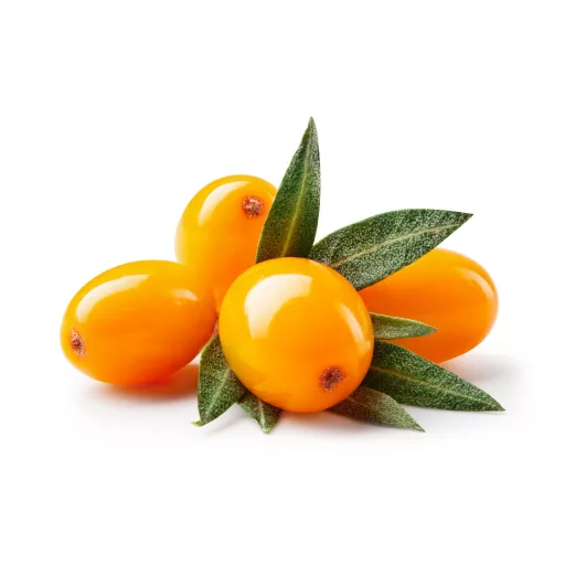 Caleido Sea buckthorn seed oil capsules 60 pcs material