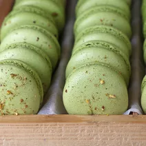 Macaron with spirulina and pistachios
