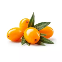 Sea buckthorn seed oil