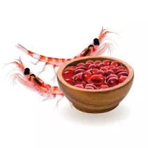 Krill oil