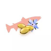 Salmon oil and Borage oil