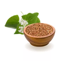 Buckwheat
