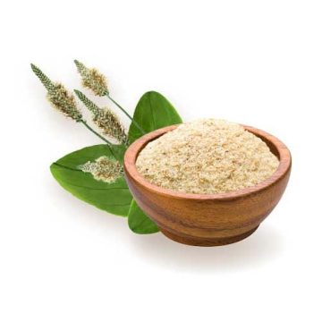 Psyllium husk