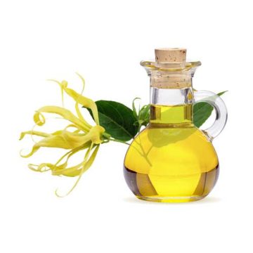 Ylang-ylang essential oil