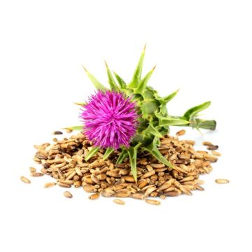 Milk thistle