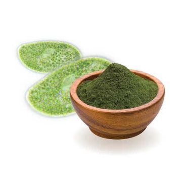 Chlorella