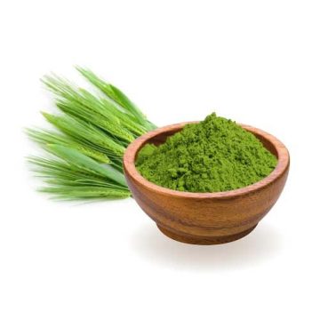 Barley grass