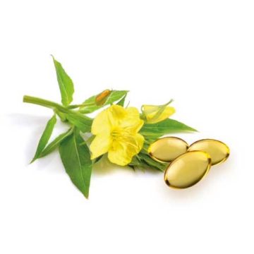 Evening primrose oil