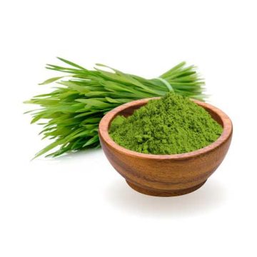 Wheatgrass