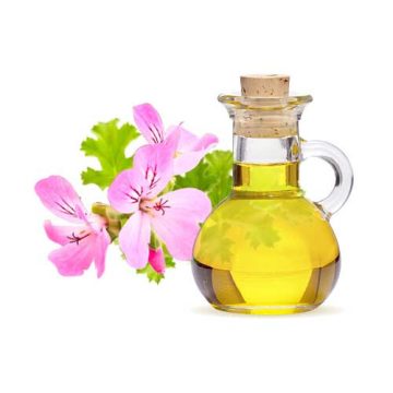 Geranium essential oil