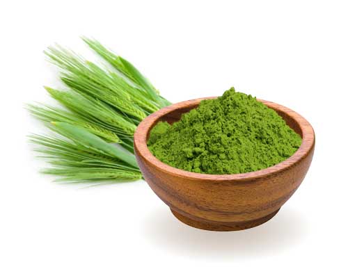 Barley grass