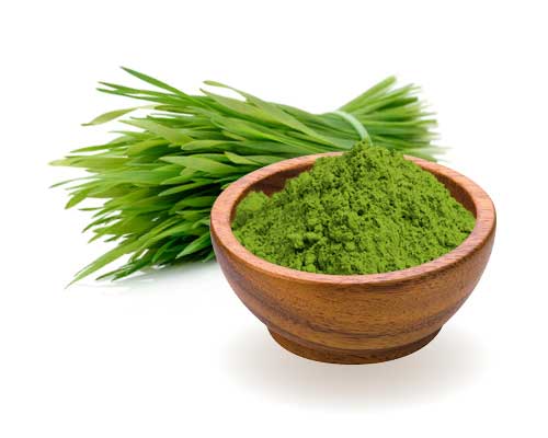 Wheatgrass