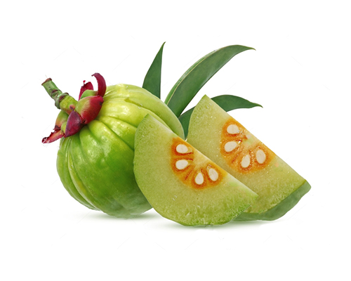 Garcinia cambogia