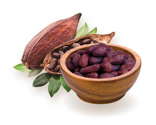 Cacao