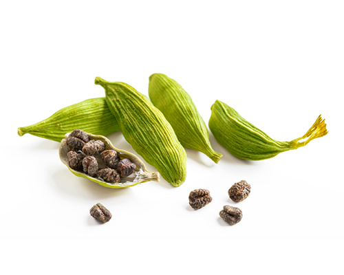 Cardamom