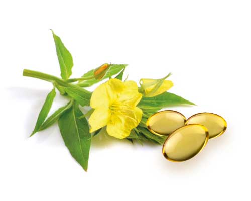 Evening primrose oil