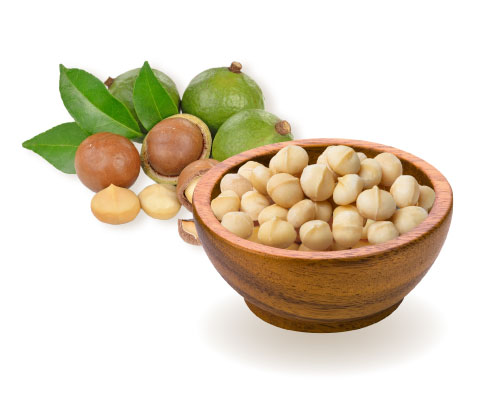 Macadamia nuts