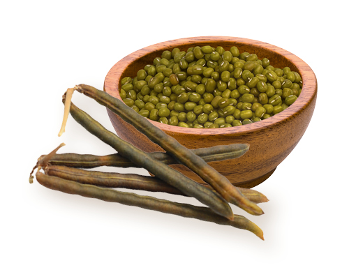 Mung beans