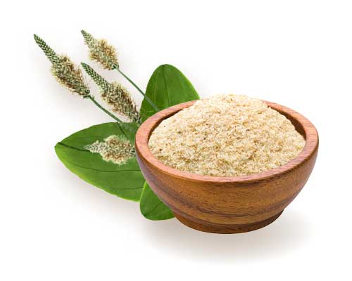 Psyllium husk